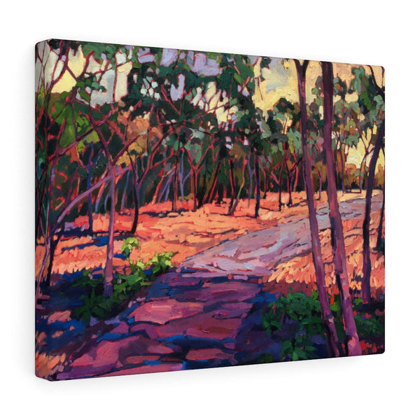 Limited edition canvas prints of "The Path"