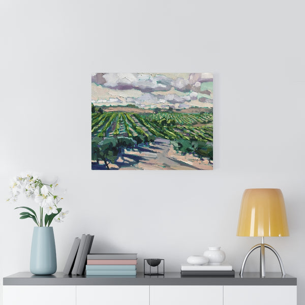 Limited edition canvas prints of "olives & Vines"