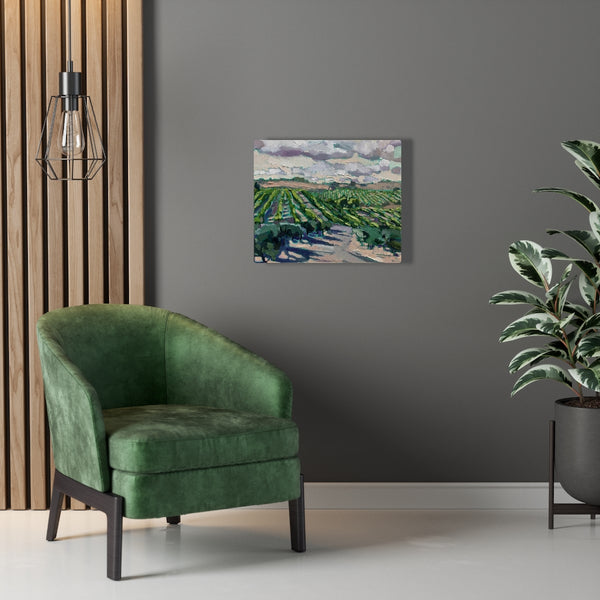 Limited edition canvas prints of "olives & Vines"